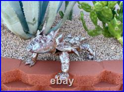 3FT Horny Toad Horned Frog Yard Art Garden Decor