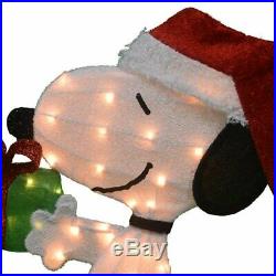 Animated Snoopy & Woodstock on Gift Yard Art Decor 2D Lighted Christmas Ornament