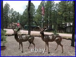 Deer Buck & Deer Doe Aluminum Outdoor Statues