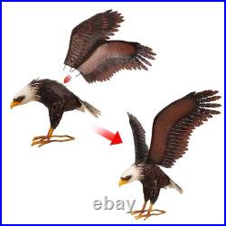Garden Sculpture & Statue, Bald Eagle Large Outdoor Statues Metal Yard Art, M