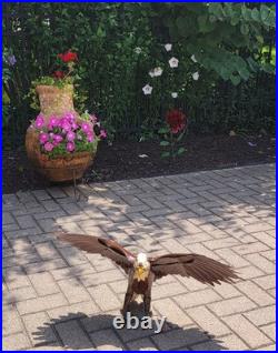 Handmade Metal Art American Bald Eagle Brown Farmhouse Yard Home Garden Decor