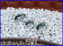 Handpainted Metal Ant Insect Yard Art Garden Decor