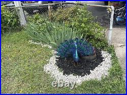 Large Metal Peacock Statue Bird Sculpture Garden Lawn Front Yard Ornament Decor