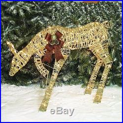 Outdoor Christmas Decoration Lighted Pre Light Doe Deer Reindeer Yard Art Decor