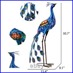Peacock Garden Statue and Sculpture, Metal Peacock Yard Art Decor, Standing B
