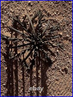 Steel barrel cactus yard sculpture